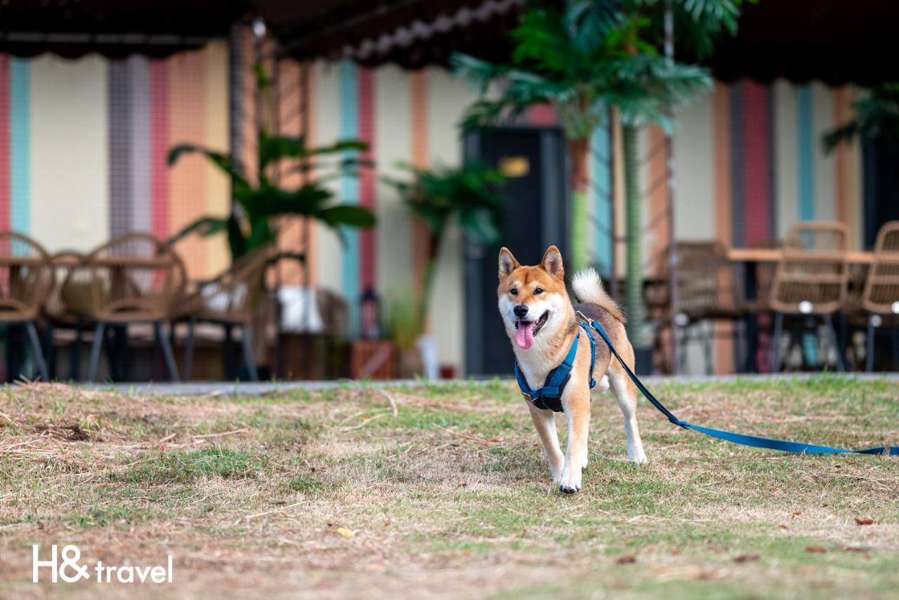 Taitung Rainbow Pet Friendly Maison Resort Bagian luar foto