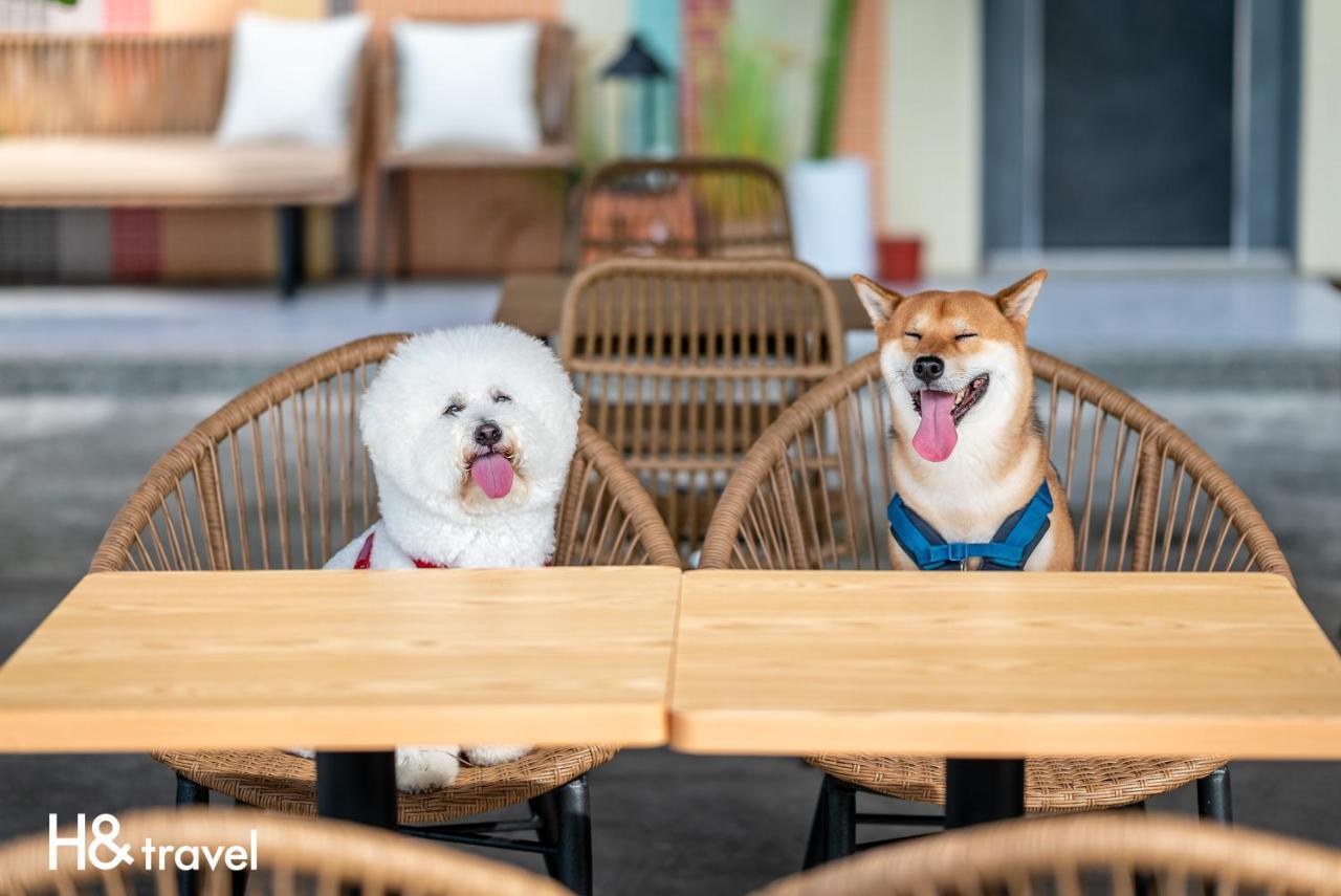 Taitung Rainbow Pet Friendly Maison Resort Bagian luar foto