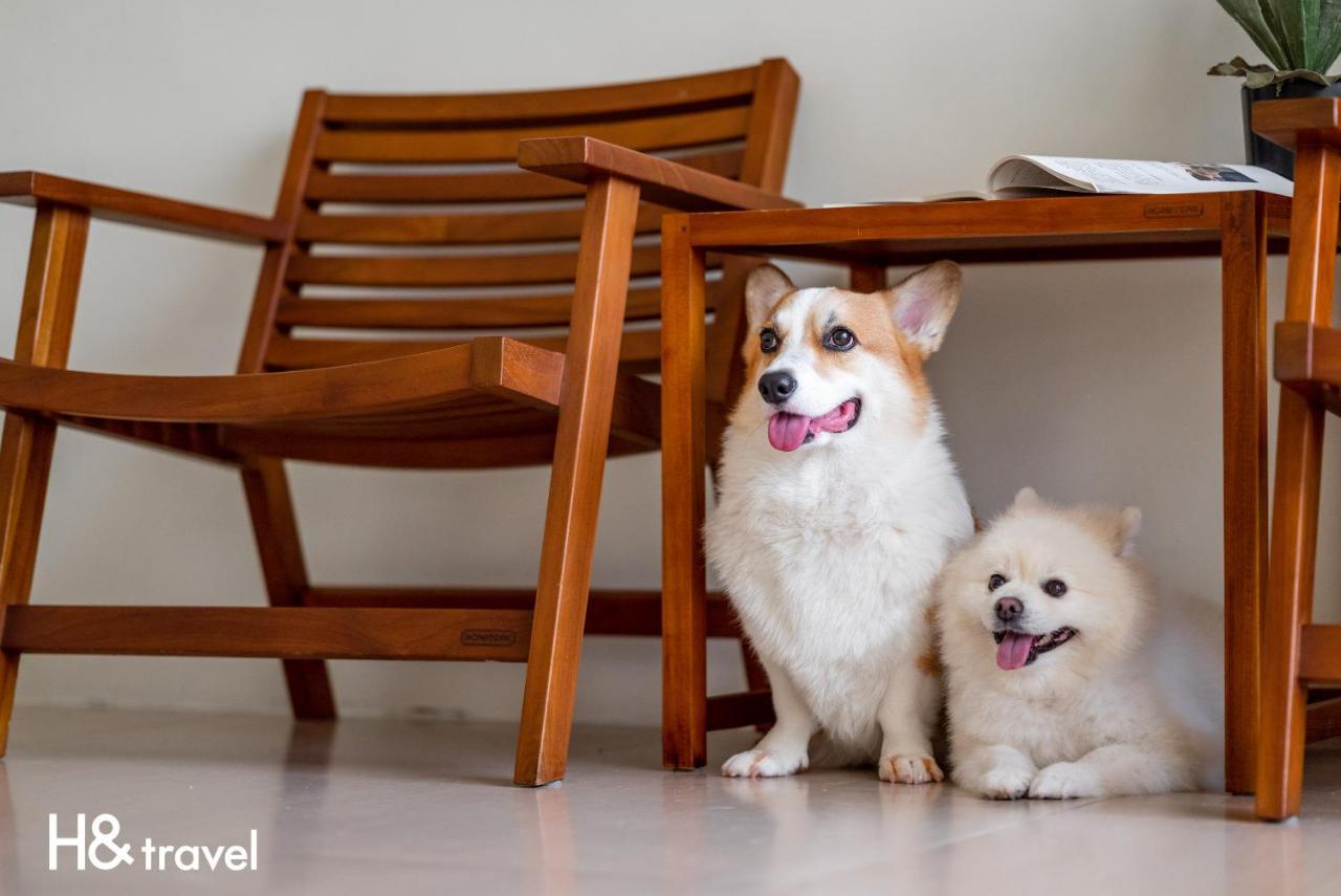 Taitung Rainbow Pet Friendly Maison Resort Bagian luar foto