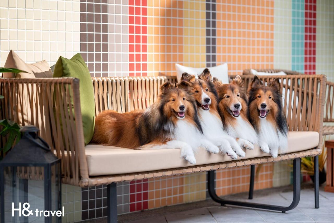 Taitung Rainbow Pet Friendly Maison Resort Bagian luar foto