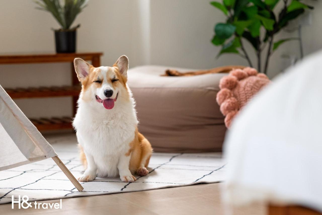 Taitung Rainbow Pet Friendly Maison Resort Bagian luar foto