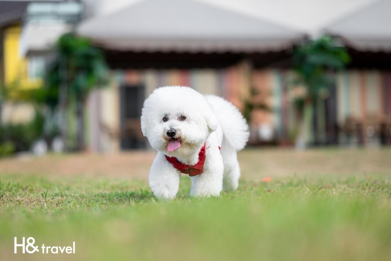 Taitung Rainbow Pet Friendly Maison Resort Bagian luar foto