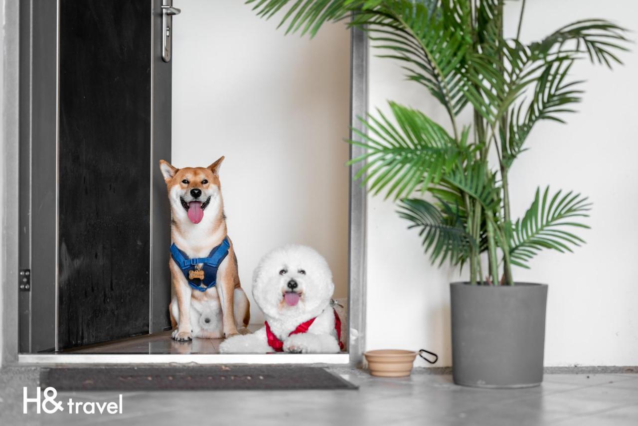 Taitung Rainbow Pet Friendly Maison Resort Bagian luar foto