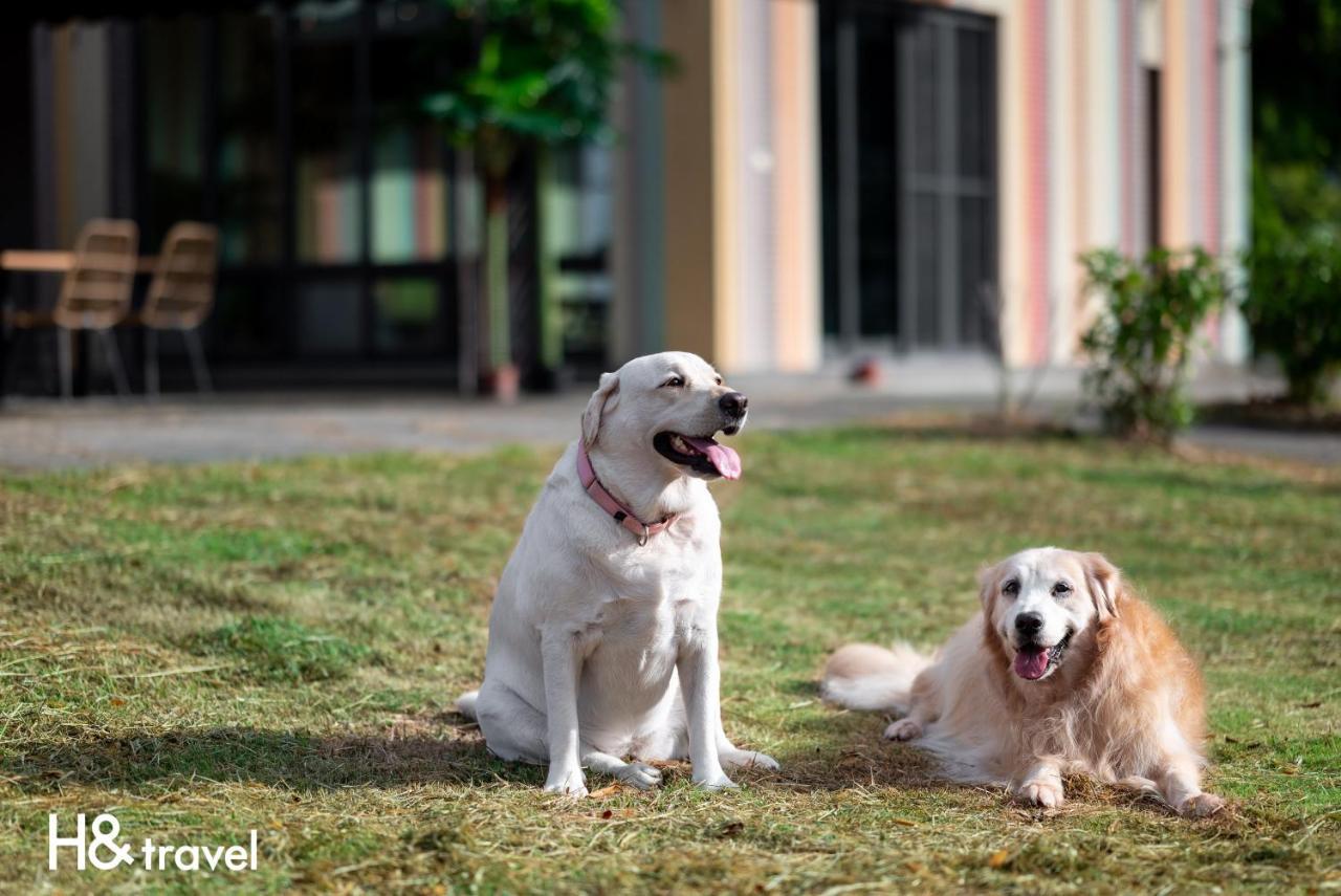 Taitung Rainbow Pet Friendly Maison Resort Bagian luar foto